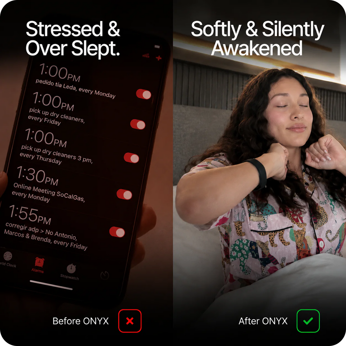 Onyx Vibration Alarm Pro+